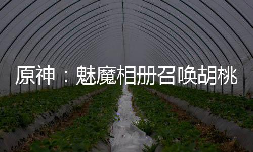 原神：魅魔相冊召喚胡桃芙寧娜