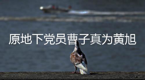 原地下黨員曹子真為黃旭華送上深情挽聯(lián)——一段關(guān)于信念與奉獻(xiàn)的傳奇故事