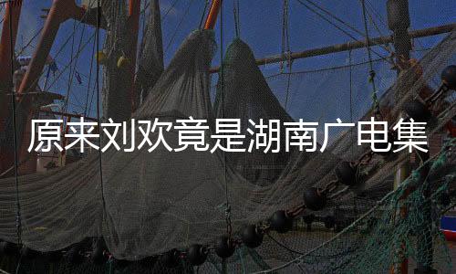 原來劉歡竟是湖南廣電集團的一位家屬，深度探究其背后的故事