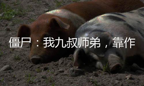 僵尸：我九叔師弟，靠作弊修仙！