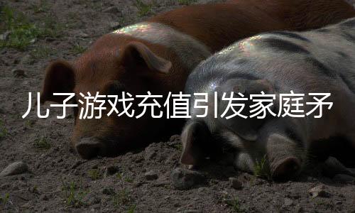 兒子游戲充值引發(fā)家庭矛盾，母親憤怒爬至高壓電塔引關(guān)注
