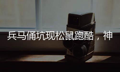 兵馬俑坑現(xiàn)松鼠跑酷，神秘歷史遺址中的新發(fā)現(xiàn)