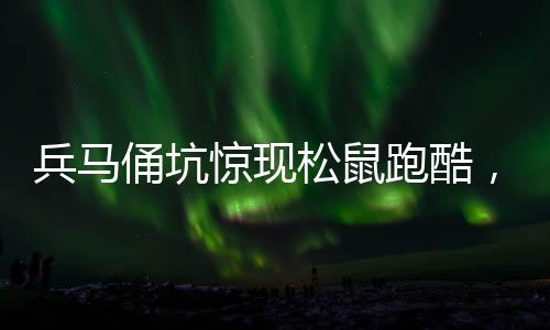兵馬俑坑驚現(xiàn)松鼠跑酷，文化遺址出現(xiàn)意外生態(tài)景象