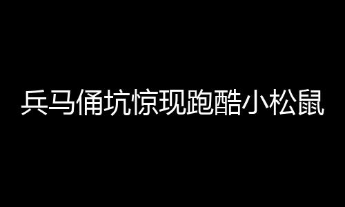 兵馬俑坑驚現(xiàn)跑酷小松鼠，歷史與自然交融的奇跡新聞