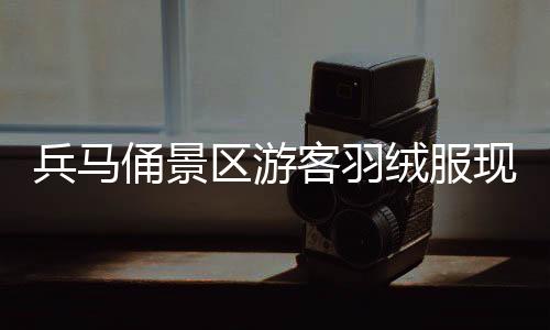 兵馬俑景區(qū)游客羽絨服現(xiàn)象，冬日寒風(fēng)中的暖心細(xì)節(jié)觀察