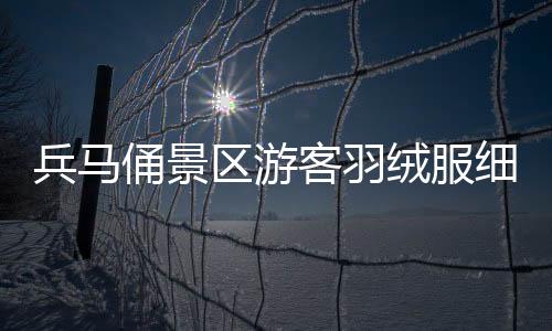 兵馬俑景區(qū)游客羽絨服細(xì)節(jié)觀察，寒冬中的暖心故事