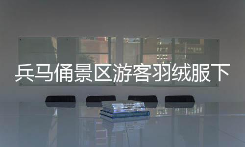 兵馬俑景區(qū)游客羽絨服下的繁忙冬季，擠出的絨毛見證溫暖之旅