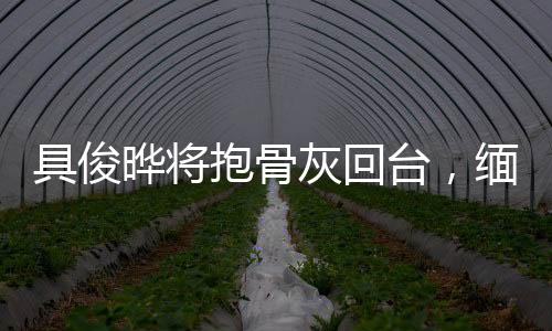 具俊曄將抱骨灰回臺，緬懷亡妻，跨越萬里的情感寄托