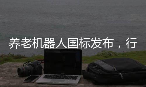 養(yǎng)老機器人國標發(fā)布，行業(yè)迎來規(guī)范化發(fā)展新篇章