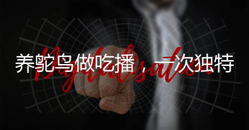 養(yǎng)鴕鳥做吃播，一次獨特的探索之旅