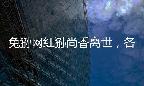 兔猻網(wǎng)紅猻尚香離世，各界緬懷與紀念動物明星的生命旅程