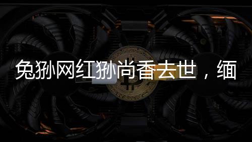 兔猻網(wǎng)紅猻尚香去世，緬懷一只傳奇的生靈