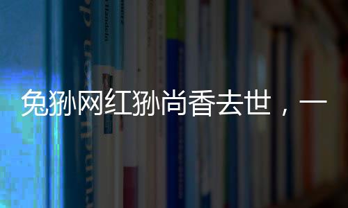 兔猻網(wǎng)紅猻尚香去世，一段悼念與自然保育的思考