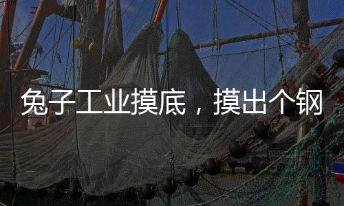 兔子工業(yè)摸底，摸出個(gè)鋼鐵俠？