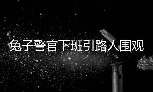 兔子警官下班引路人圍觀拍照，警民互動溫馨感人