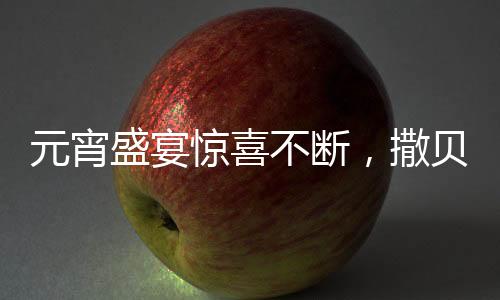元宵盛宴驚喜不斷，撒貝寧與智能機器人共度佳節(jié)——探究新時代人與智能共生之道