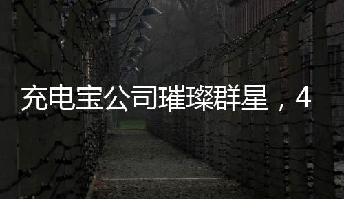 充電寶公司璀璨群星，494名員工年入超百萬，共創(chuàng)輝煌