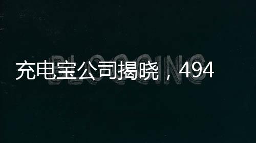 充電寶公司揭曉，494名員工收入超百萬，業(yè)績令人矚目