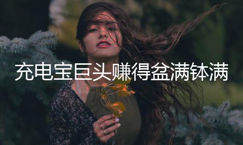 充電寶巨頭賺得盆滿缽滿，揭秘其成功背后的故事