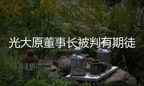光大原董事長被判有期徒刑十五年