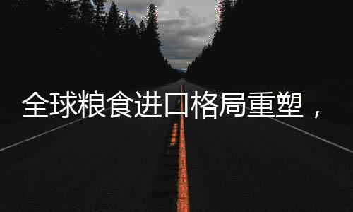 全球糧食進口格局重塑，重心轉向南美，趨勢與挑戰(zhàn)分析