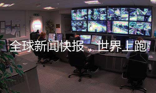 全球新聞快報，世界上跑得最快的熊被困墻頭——奇跡背后的故事