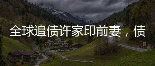 全球追債許家印前妻，債務糾紛背后的復雜故事