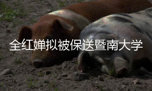 全紅嬋擬被保送暨南大學(xué)，跳水新星未來可期