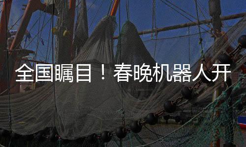 全國矚目！春晚機(jī)器人開啟全新打工時(shí)代