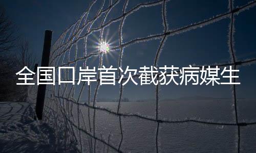 全國(guó)口岸首次截獲病媒生物印度翠蠅，強(qiáng)化防疫防線的新挑戰(zhàn)