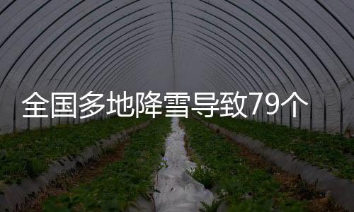 全國(guó)多地降雪導(dǎo)致79個(gè)路段封閉，交通部門積極應(yīng)對(duì)保障安全通行