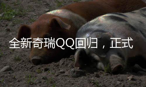 全新奇瑞QQ回歸，正式更名多米——創(chuàng)新再出發(fā)，領航微型電動市場新紀元