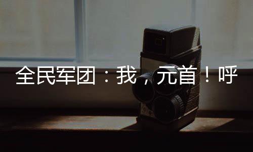 全民軍團(tuán)：我，元首！呼叫艦隊！