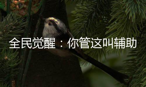 全民覺醒：你管這叫輔助系？