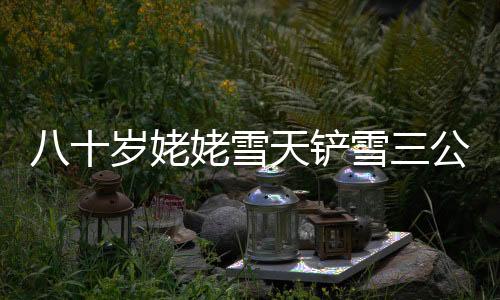 八十歲姥姥雪天鏟雪三公里，暖心接女孩歸途