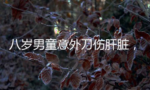 八歲男童意外刀傷肝臟，緊急手術(shù)成功挽救生命