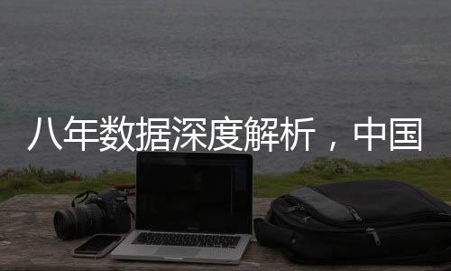 八年數(shù)據(jù)深度解析，中國(guó)如何應(yīng)對(duì)美國(guó)關(guān)稅挑戰(zhàn)