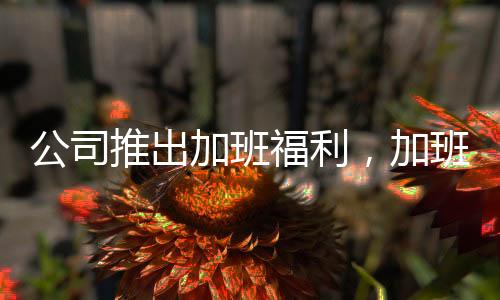 公司推出加班福利，加班十晚可繳納社會保險個人部分，員工反響不一