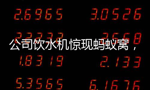 公司飲水機驚現(xiàn)螞蟻窩，衛(wèi)生狀況亟待改善