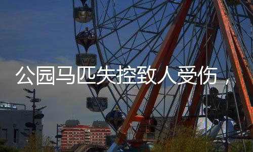 公園馬匹失控致人受傷，多人緊急送醫(yī)治療，重癥患者入住ICU