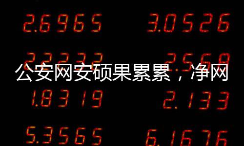 公安網(wǎng)安碩果累累，凈網(wǎng)2024行動取得顯著成效