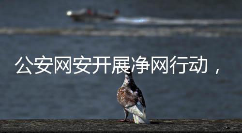 公安網(wǎng)安開展凈網(wǎng)行動(dòng)，成效顯著——凈網(wǎng)2024成績(jī)單亮眼