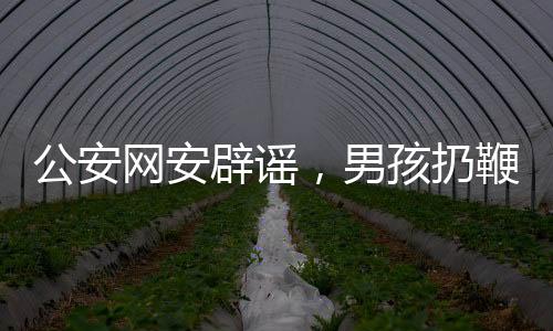 公安網(wǎng)安辟謠，男孩扔鞭炮賠580萬系謠言