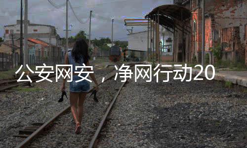公安網(wǎng)安，凈網(wǎng)行動2024取得顯著成效，助力網(wǎng)絡(luò)空間安全建設(shè)新篇章