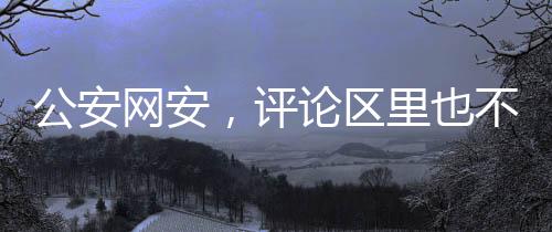 公安網(wǎng)安，評(píng)論區(qū)里也不可造謠