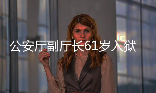公安廳副廳長(zhǎng)61歲入獄，自我監(jiān)督與法治精神的體現(xiàn)