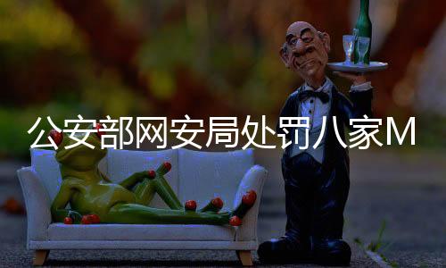公安部網(wǎng)安局處罰八家MCN機構(gòu)，強化網(wǎng)絡(luò)生態(tài)治理的新動向