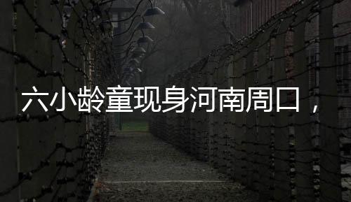 六小齡童現(xiàn)身河南周口，傳統(tǒng)文化藝術(shù)活動引人矚目