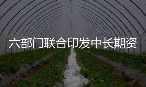 六部門聯(lián)合印發(fā)中長(zhǎng)期資金入市方案，資本市場(chǎng)迎新機(jī)遇