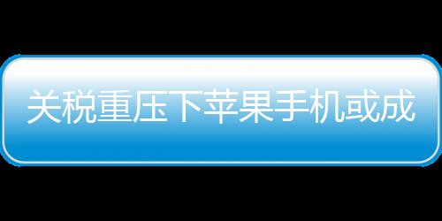 關(guān)稅重壓下蘋(píng)果手機(jī)或成奢侈品 考慮在巴西生產(chǎn)iPhone